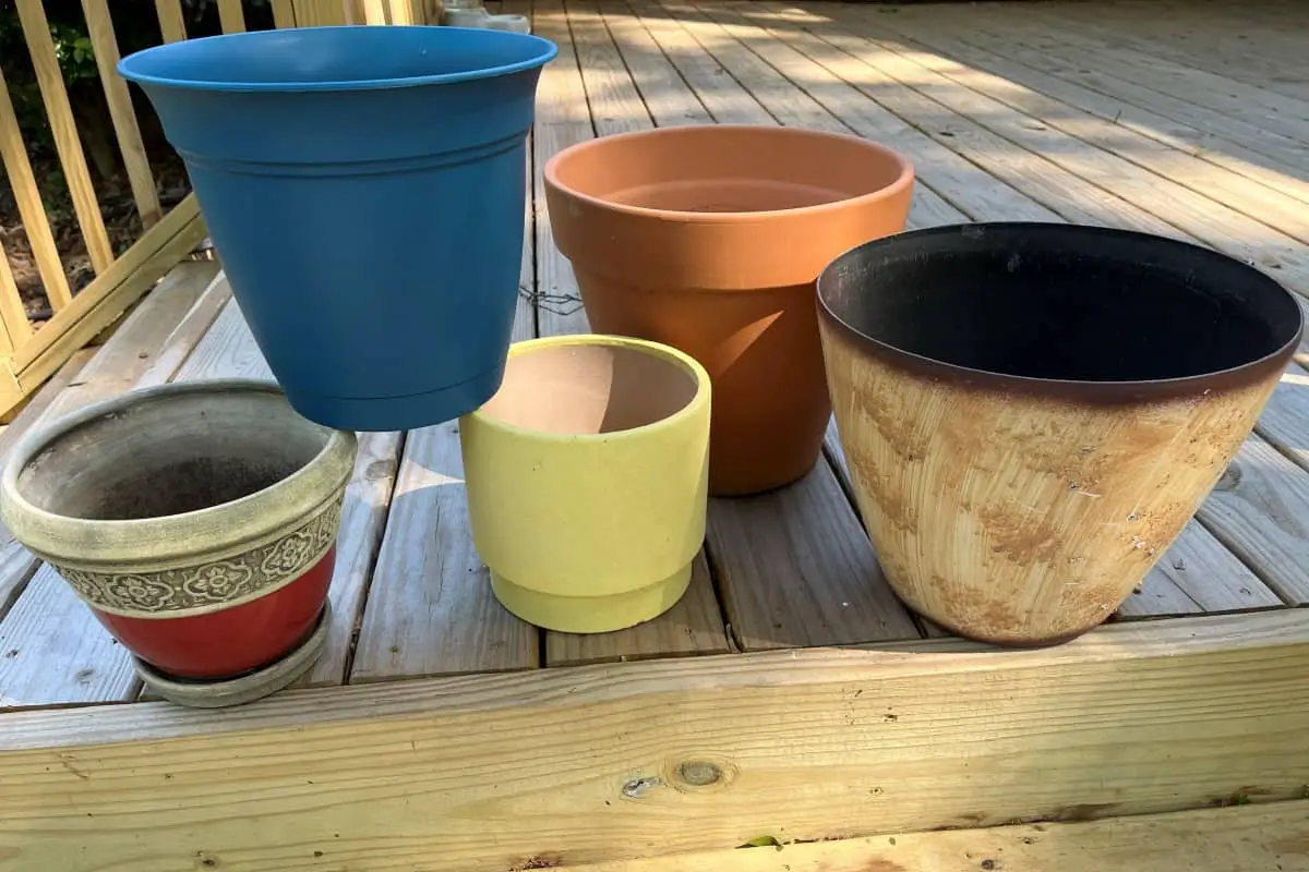 yucca best pots